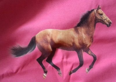 Kôň na tričku